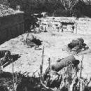World War II sites of Japan