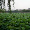 Parks in Yangzhou