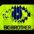 Big Brother (Dutch TV series) seasons