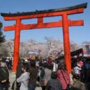 Important Cultural Properties of Kyoto Prefecture