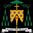 21st-century bishops in Ireland