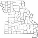Unincorporated communities in Greene County, Missouri