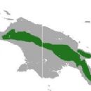 Long-fingered triok