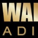 Radio stations established in 1921
