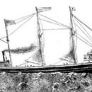 Maritime incidents in the 1890s