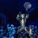CATS  Original 1982 Broadway Musical Starring Betty Buckley - 454 x 319