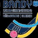 Swedish bandy competitions