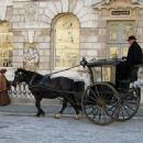 Hansom cab
