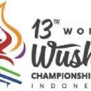 2015 in Indonesian sport