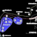 Motorsport competitions in Monaco