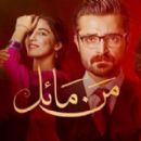 2015 Pakistani television series endings