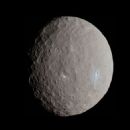Objects observed by stellar occultation