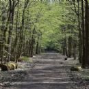 Protected areas of Poland