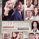 Grey's Anatomy (season 10) episodes