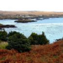Casla
