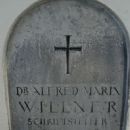 A. M. Willner