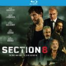 Section 8 (2022) - 454 x 575
