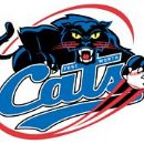 Fort Worth Cats