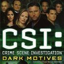 CSI: Crime Scene Investigation video games