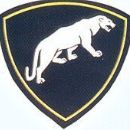 Gendarmerie divisions