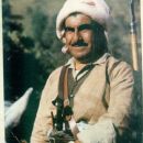 Kurdish revolutionaries