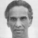 V. K. Krishna Menon