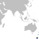 Taxa named by Andrew L. Stewart