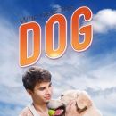 Who Gets the Dog?