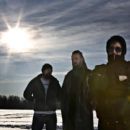 Ulver