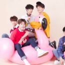 Imfact