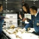 Bones (2005)