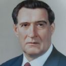 Vladimir Dolgikh