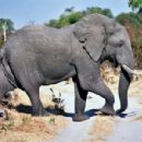 Outdoor structures in Botswana