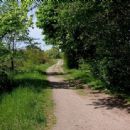 Road infrastructure in Sweden
