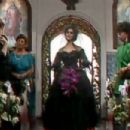 Selva de Pedra (1986) - 454 x 303
