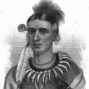 Chief Mahaska