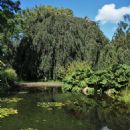 Hortus Botanicus Leiden