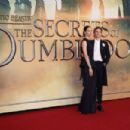 Katherine Waterston – ‘Fantastic Beasts – The Secrets of Dumbledore’ World Premiere in London - 454 x 302