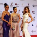 The 2nd Antalya Television Awards - 2011 - 419 x 600
