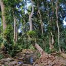 Economy of Mayotte
