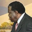 Namibian people by political party