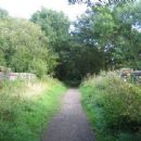 Footpaths in the West Midlands (county)