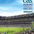 History of hurling