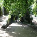 Transport in Garrotxa