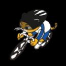 2017 in BMX