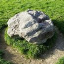 Cuckoo Stone