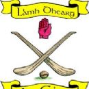 1949 in Gaelic games