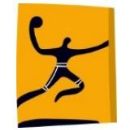 2004 in handball