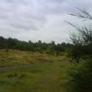 Parks and commons in Salford