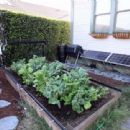 FarmBot
